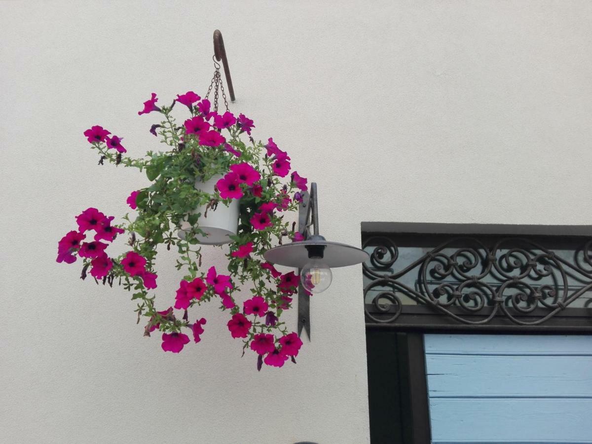 Tambien B&B Pesaro Kültér fotó